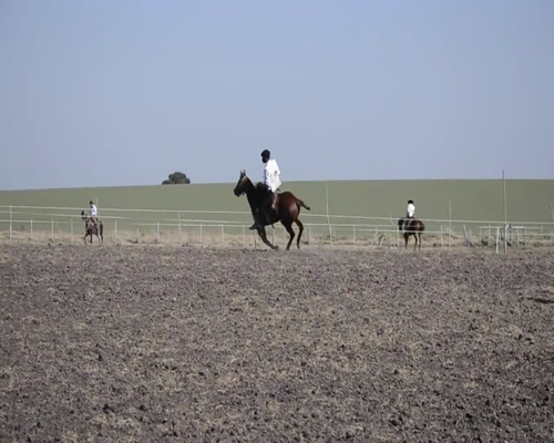 Lote Se Nube Grande Chex