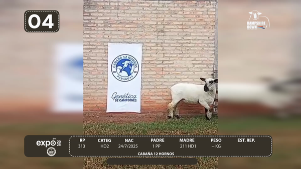 Lote LOTE 4 - CAMPO