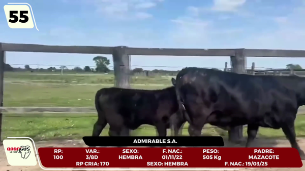 Lote LOTE 55 - CAMPO