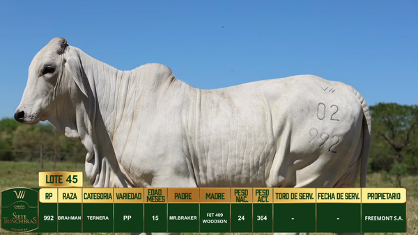 Lote LOTE 45