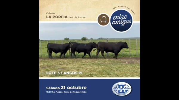 Lote Cabaña La Porfia