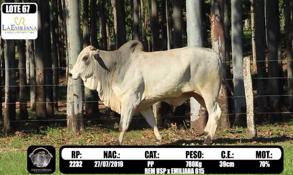 Lote LOTE 67-  RP K2232