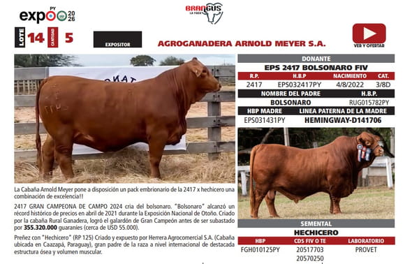 Lote LOTE 14