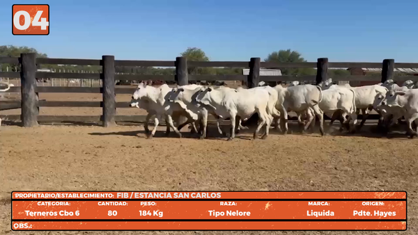 Lote LOTE 4