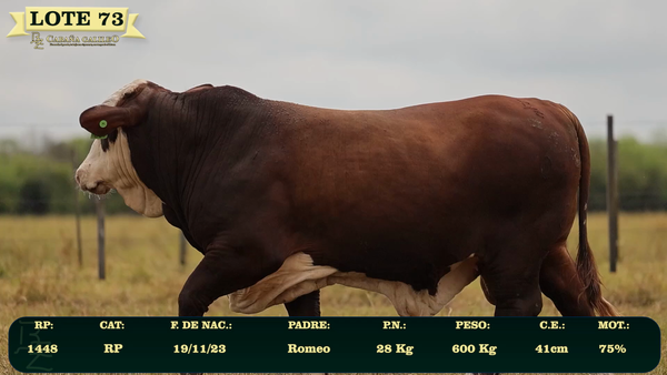 Lote LOTE 73