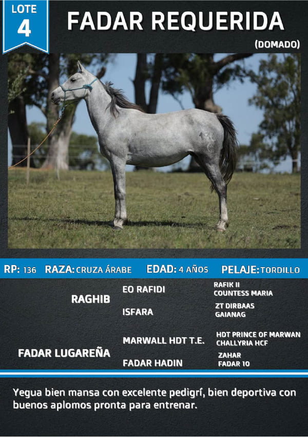 Lote FADAR REQUERIDA
