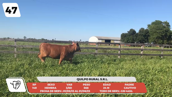 Lote LOTE 47-DE CAMPO