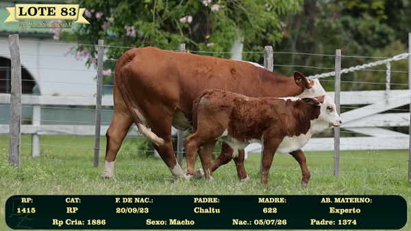 Lote LOTE 83