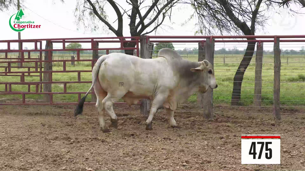 Lote Brahman