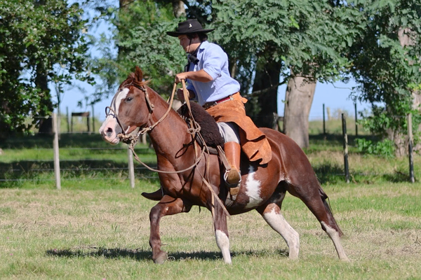Lote CATANDUVA HASTA LA VICTORIA SIEMPRE