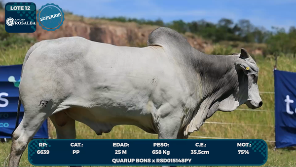 Lote LOTE 12