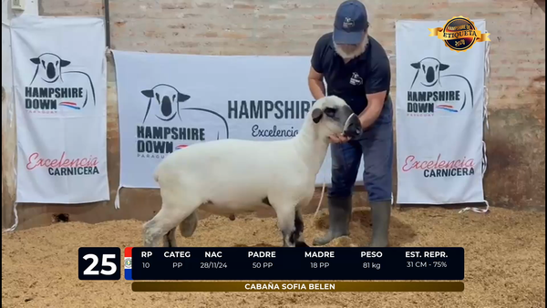 Lote LOTE 25