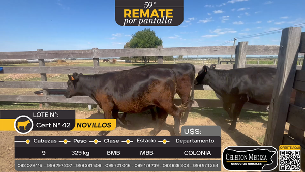 Lote 9 Mixto en Artilleros, Colonia