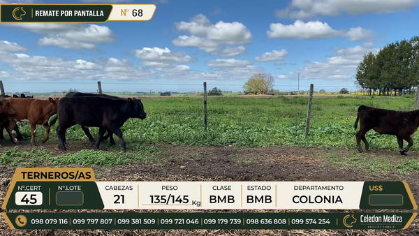 Lote 21 Otros en Barker, Colonia