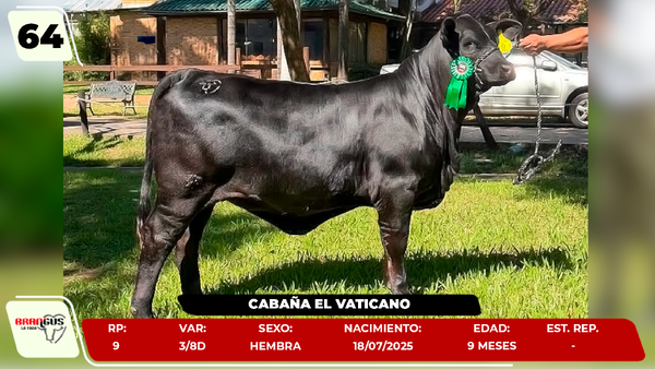 Lote LOTE 64