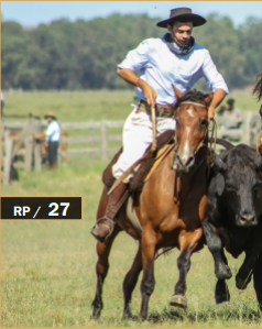 Lote FRONTERIZO DE LA LEGUA