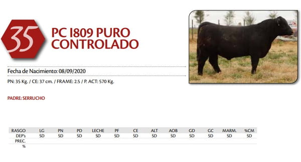 Lote TORO