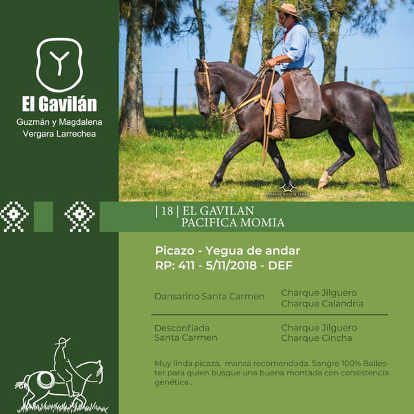 Lote El Gavilán Pacífica Momia (RP 411) Cabaña "El Gavilán"