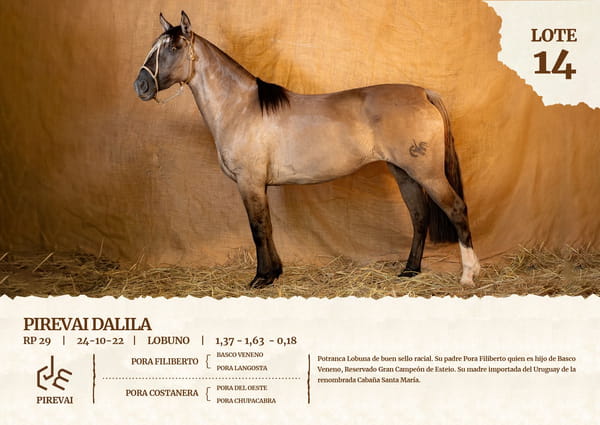 Lote PIREVAI DALILA