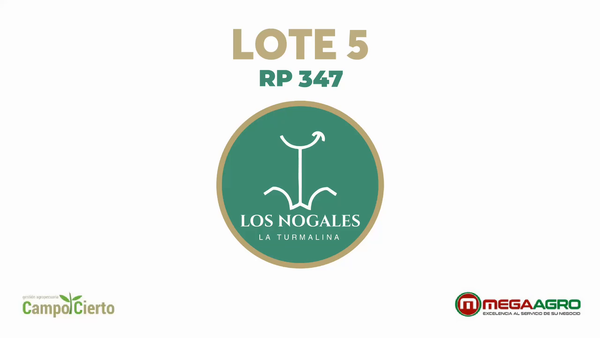 Lote LOS NOGALES