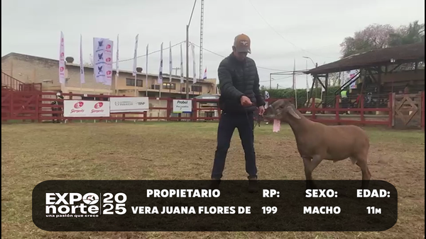 Lote RP 199,