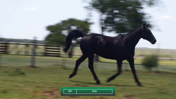 Lote Macho de Andar, Cerro Largo