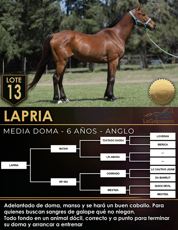 Lote LAPRIA