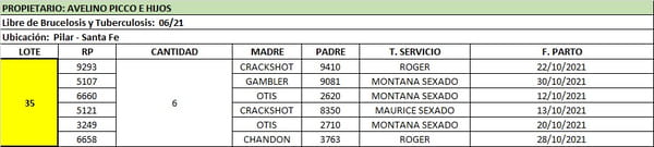 Lote Lote 35 Avelino Picco