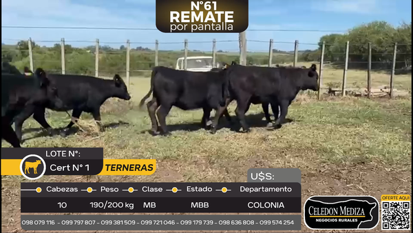 Lote 10 Terneras en Colonia Arrue, Colonia