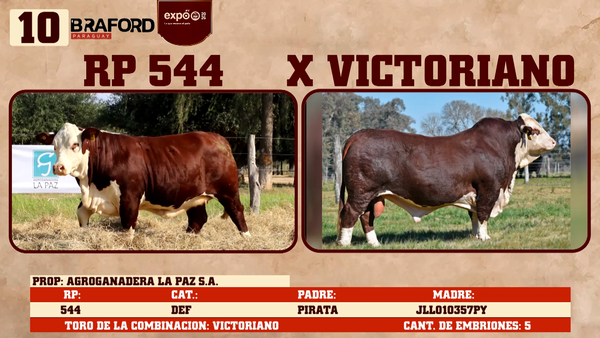 Lote LOTE 10