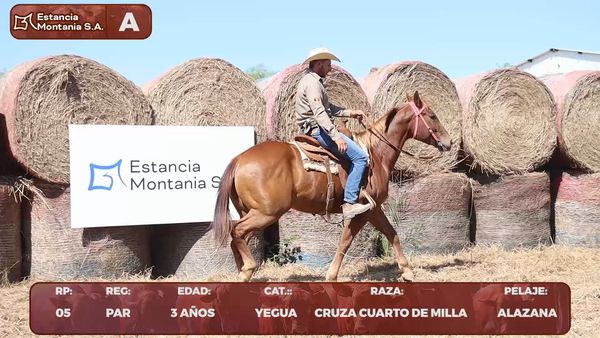 Lote LOTE A