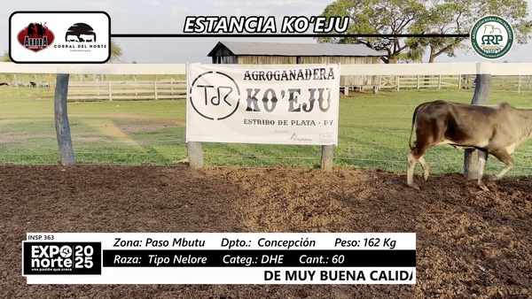 Lote DHE