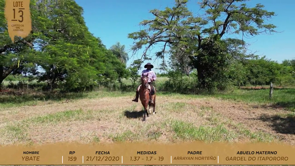 Lote YBATE