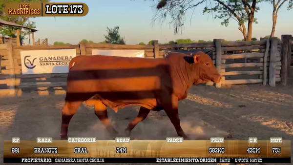 Lote LOTE 173