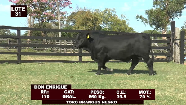 Lote Cabañas de Tradición - Lote 31