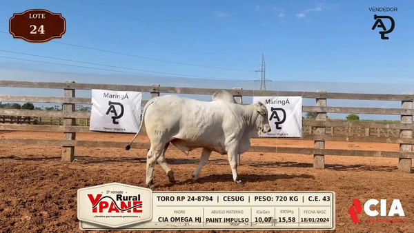Lote Lote 24