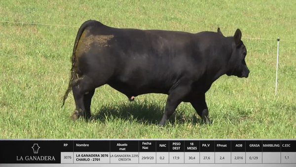 Lote LA GANADERA 3076 CHARLO - 2701