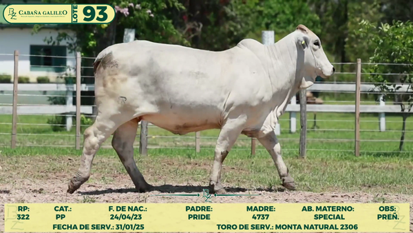 Lote LOTE 93