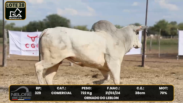 Lote LOTE 28