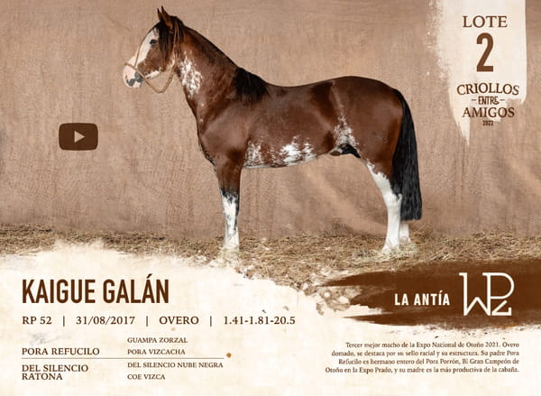 Lote KAIGUE GALÁN RP 52