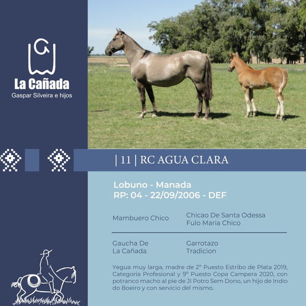 Lote RC Agua Clara (RP 04) Cabaña "La Cañada"
