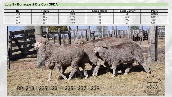 Lote Lote 8 - EL PAMPERO