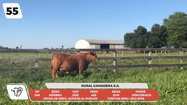 Lote LOTE 55-DE CAMPO