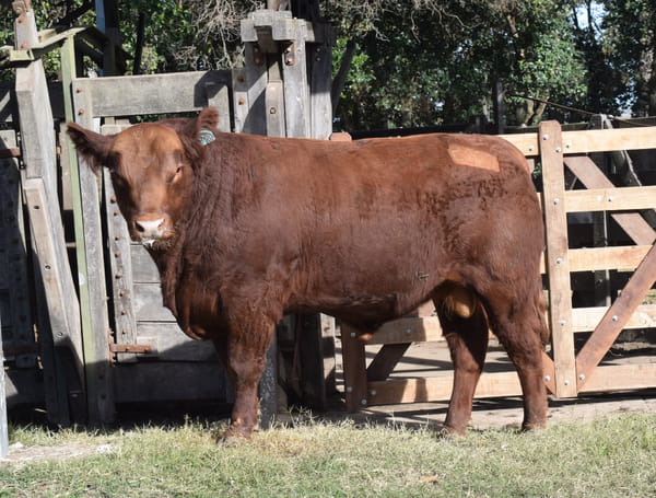 Lote CABAÑA “COEMBOTÁ” de Calderón RP 129