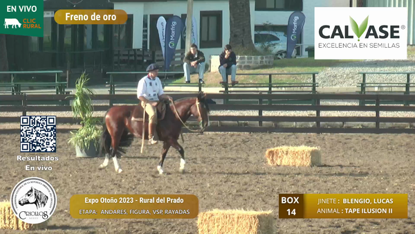 Lote TAPE ILUSION II - BLENGIO COLUCCI, EDUARDO