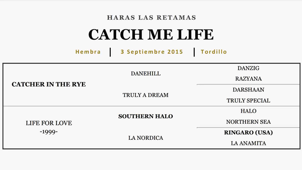 Lote CATCH ME LIFE (CATCHER IN THE RYE - LIFE FOR LOVE)