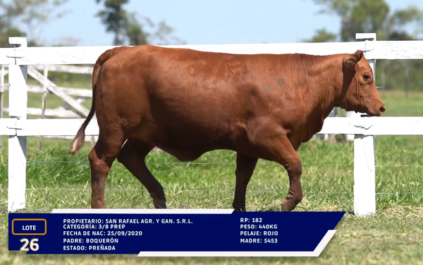 Lote LOTE 26