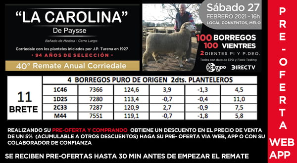 Lote 1 Borregos en Cerro Largo, Cerro Largo