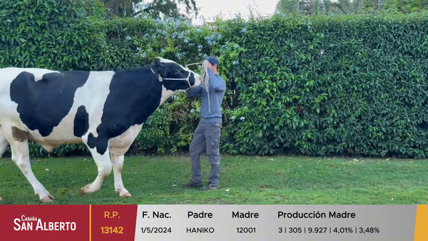Lote Toros, Canelones