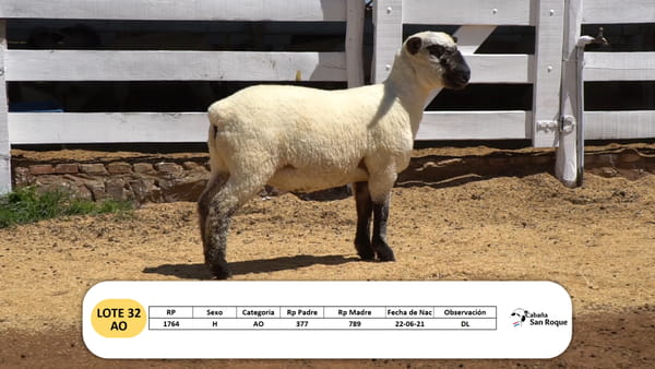 Lote Lote 32 - AO